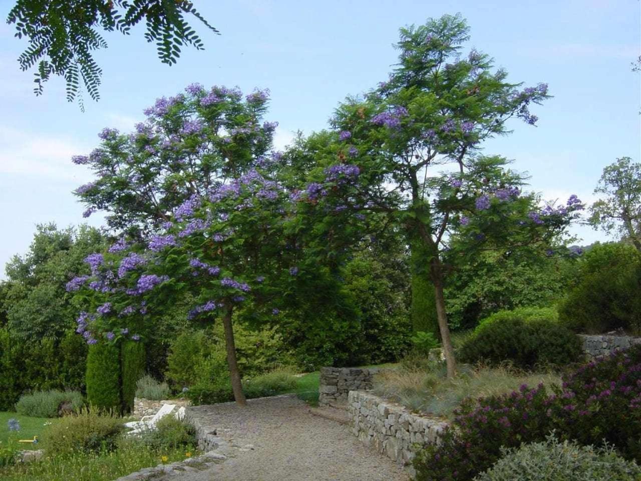 Villa Ca lAndreu Ecoturisme à Tiana Extérieur photo
