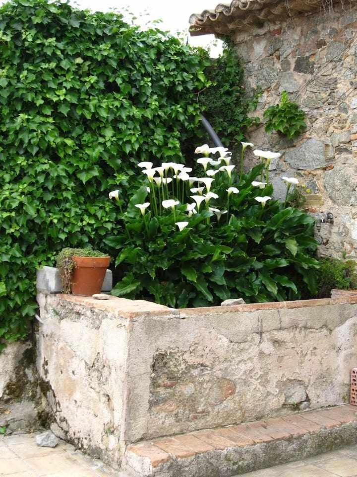 Villa Ca lAndreu Ecoturisme à Tiana Extérieur photo