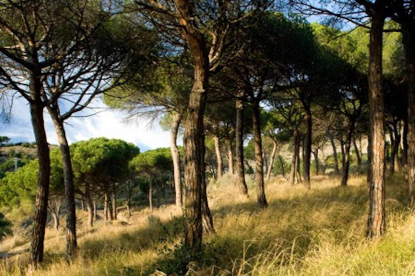 Villa Ca lAndreu Ecoturisme à Tiana Extérieur photo